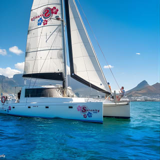 Sailing in The Bay by Catamaran (One Hour) 1