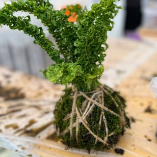 Kokedama Class 1