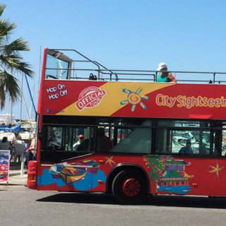 Bus turístico de Benalmádena 4