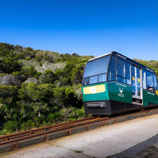 Cape Point Flying Dutchman Funicular Return Ticket  5