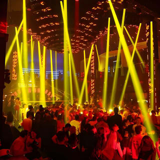 Miami Night: la massima esperienza di nightclub 16
