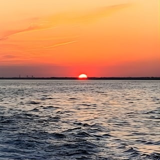 Pensacola Beach Jolly Dolphin Cruise and Scenic Bay Tour 8