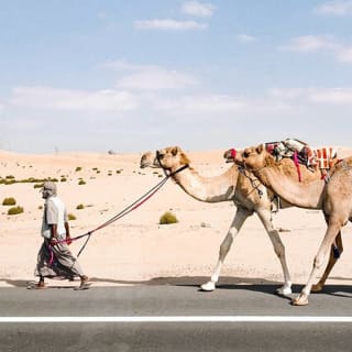 Abu Dhabi Hidden Gems - Tour autoguidato e caccia al tesoro 4