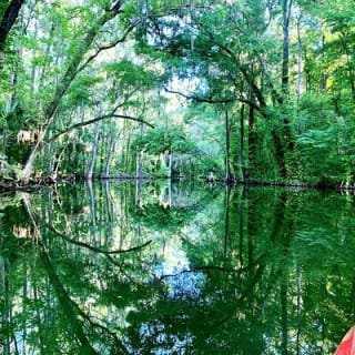Half day kayak and paddle board rentals on the scenic Dora Canal 7
