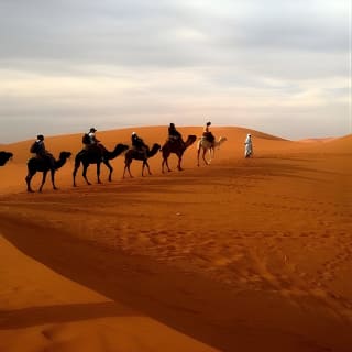 Abu Dhabi City Tour with Desert Safari Adventure 6