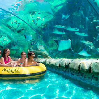 Aquatica Orlando: SeaWorlds Wasserpark 2