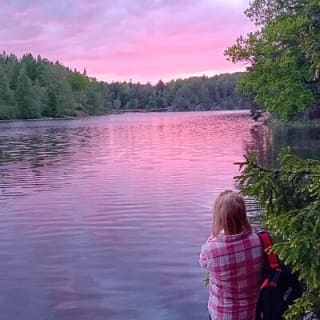Abendwanderung im Tyresta-Nationalpark 3