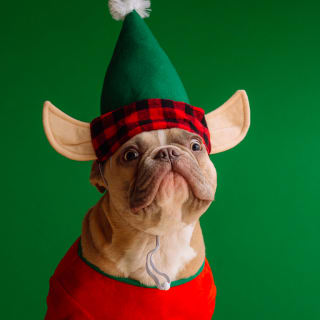 Cuenta atrás para Navidad 1 1