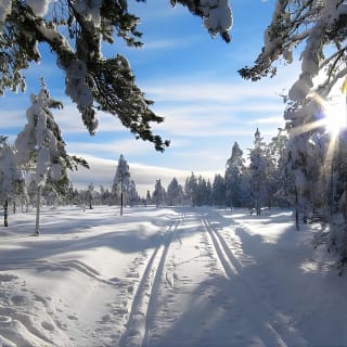 4 hours Winter View of the Oslofjord Walk Tour  9