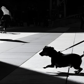 Street Photography Workshops in London 6