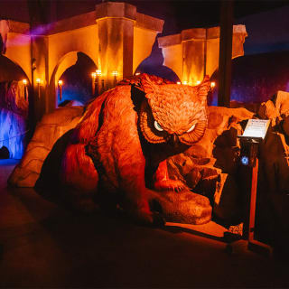 DUNGEONS & DRAGONS: The Immersive Quest - Gift Card 8