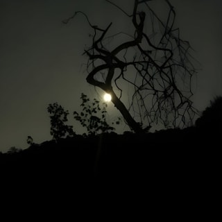 LA Night Hikers 4
