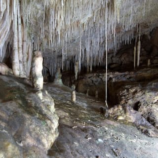 Cuevas de Campanet 3