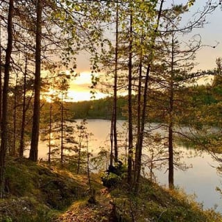 Abendwanderung im Tyresta-Nationalpark 5