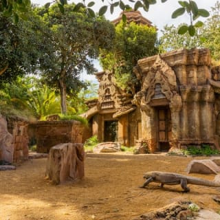 Bioparc Fuengirola: ¡un zoo varguandista! 8