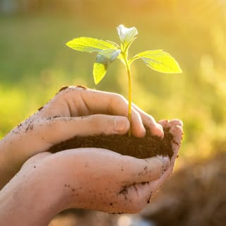 Día mundial del medioambiente 5 1
