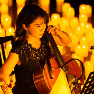 Candlelight: 夢と魔法の世界のハーモニー 6