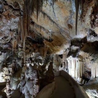 Cuevas de Campanet 4