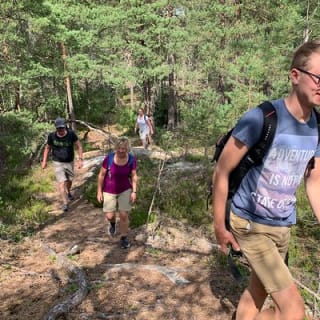 Abendwanderung im Tyresta-Nationalpark 6