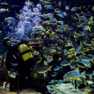Oceanogràfic and Science Museum: Skip-The-Line Ticket 3