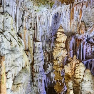 Cuevas de Campanet 7