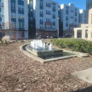 Greenville, NC Murder Mystery: Solve the case! 2