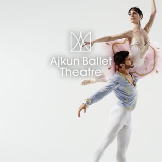 Ajkun Ballet Presents: Sleeping Beauty 4