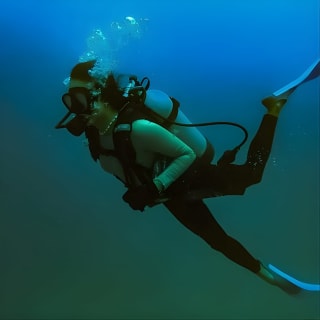 Bajo un mar de aventuras, inmersiones inolvidables. 21