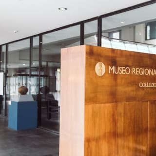 Museo Interdisciplinare Regionale di Messina: Biglietto d'ingresso 3