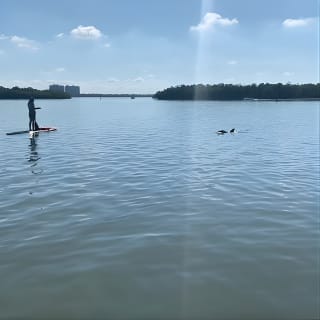 Dolphin and Manatee Adventure Tour in Fort Myers 22