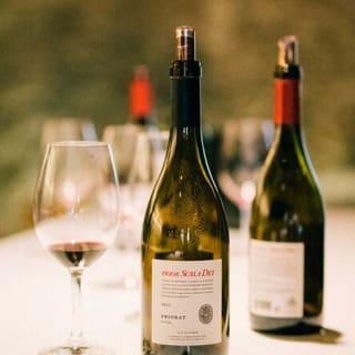 Degustación de vinos de Burdeos y aperitivos 2