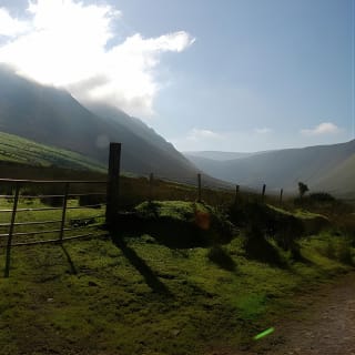 Ring of Kerry Day Tour from Limerick: Including Killarney National Park 11