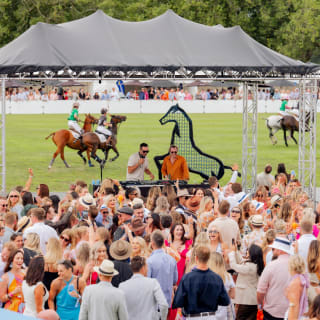 F3 Polo Brisbane - Waitlist 11