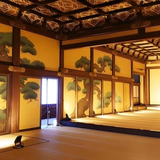 京都：二条城歴史散策ツアー - 世界遺産 1