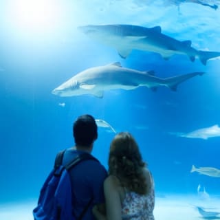 Oceanogràfic and Science Museum: Skip-The-Line Ticket 5