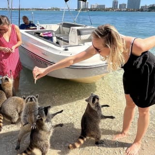 Miami Boat Tour vers Raccoon Island, Snorkeling au Haulover Sandbar & Billionaires Bunker 2