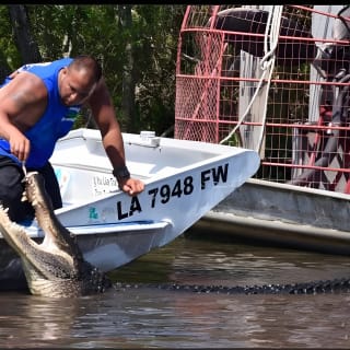 New Orleans Small-Group Airboat Swamp Tour 10