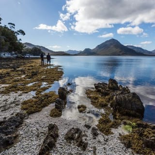Southwest Tasmania Wilderness Experience: Fly Cruise and Walk Including Lunch 6