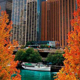 Crucero por el río del Centro de Arquitectura de Chicago 5