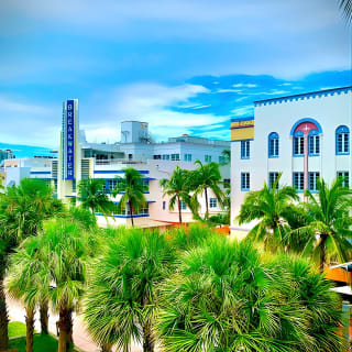 The Official Art Deco Walking Tour by The Miami Design Preservation League 2