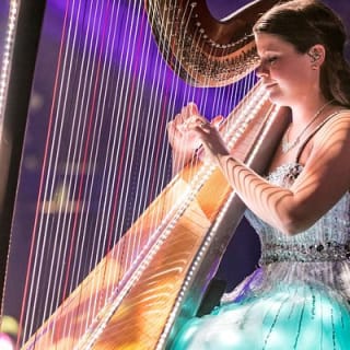 The Haygoods: Branson's Most Popular Show 5