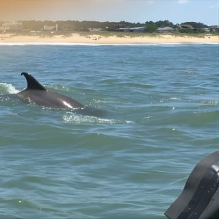 Tour Eco de Delfines en Kayak para Grupos Pequeños 7