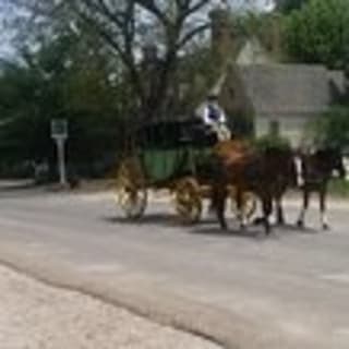 Patriots Tour of Colonial Williamsburg or Williamsburg 101 9