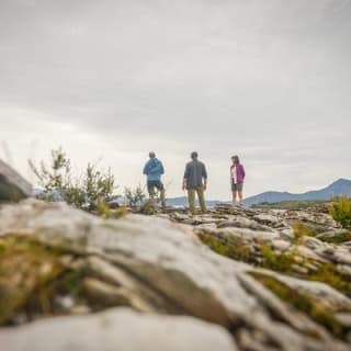 Southwest Tasmania Wilderness Experience: Fly Cruise and Walk Including Lunch 10