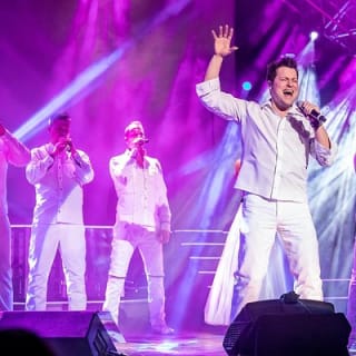 The Haygoods: Branson's Most Popular Show 9