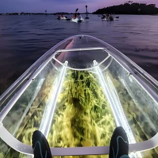 Clear Kayak LED Night Glass Bottom Tour - Siesta Key, FL 3