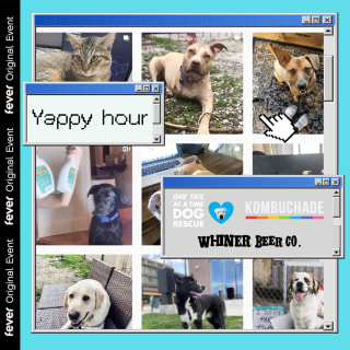 Yappy Hour: Hard Kombucha & Meet a Pooch (Includes Drink Delivery!) 2