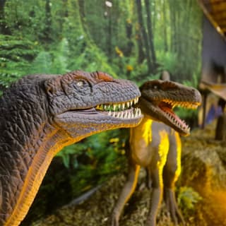 Viven Dinosaurios San Luis 2