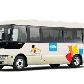 Dubai Miracle Garden & Global Village: Shared Transfer 3