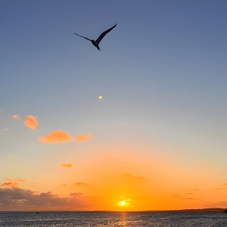 Puerto Rico: Bio Bay Swim and Sunset Charter or Late night tour 7